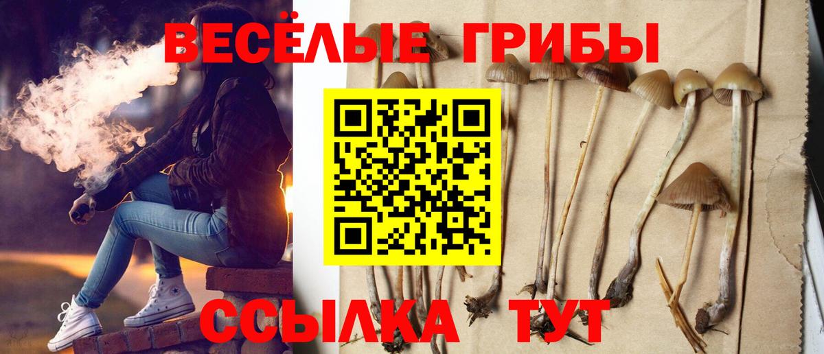 Галлюциногенные грибы GOLDEN TEACHER Коломна