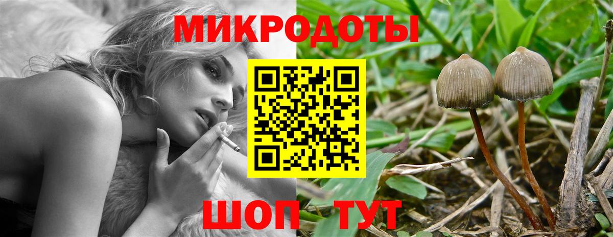 Коломна  наркота  Галлюциногенные грибы ЛСД  Вход с VPN  Галлюциногенные грибы мухоморы 